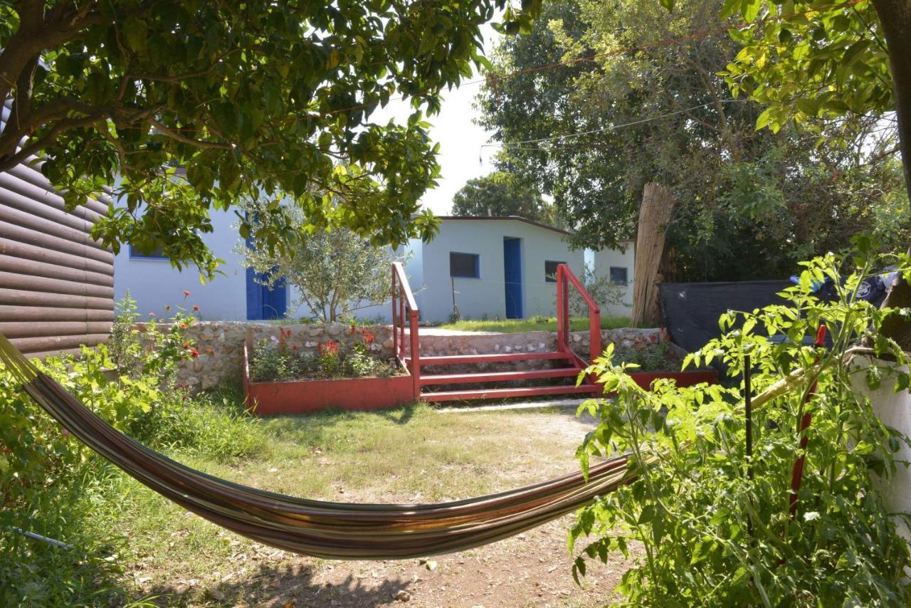 Glamping Rooms At The Sea Turtle Dhërmi Exteriér fotografie